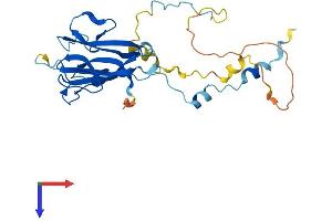 AlphaFold protein structure predicition of Human Recombinant MVB12A Protein, UniprotID Q96EY5