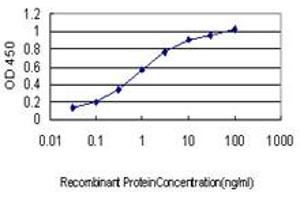 Detection limit for recombinant GST tagged DUSP5 is approximately 0. (DUSP5 anticorps  (AA 286-384))