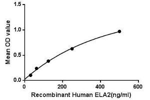 Binding activity of ELA2 and COL17. (ELANE Protéine)