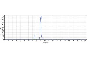 anti-TIGIT (Tiragolumab Biosimilar) antibody