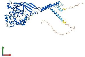 AlphaFold protein structure predicition of Human Recombinant ASIC2 Protein, UniprotID Q16515