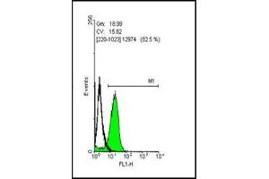Flow cytometry on human embryonic stem cells, staining with OCT3/4 antibody at 1:50 dilution (green) or rabbit IgG (black).