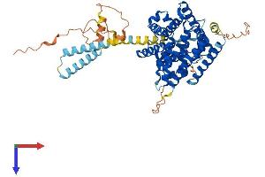 AlphaFold protein structure predicition of Mouse Recombinant Pde1b Protein, UniprotID Q01065