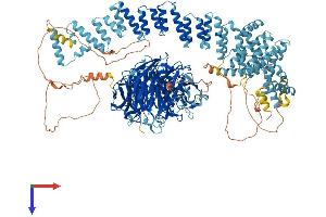 AlphaFold protein structure predicition of Mouse Recombinant Gemin5 Protein, UniprotID Q8BX17