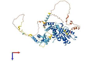 SRPRA (AA 1-636) protein (His tag)