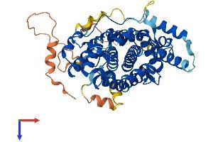 AlphaFold protein structure predicition of Human Recombinant SESN2 Protein, UniprotID P58004