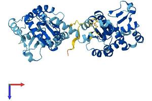 AlphaFold protein structure predicition of Mouse Recombinant Ak8 Protein, UniprotID Q32M07