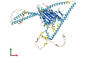 AlphaFold protein structure predicition of Mouse Recombinant Kif3a Protein, UniprotID P28741