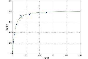 A typical standard curve