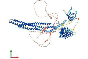 AlphaFold protein structure predicition of Mouse Recombinant Ophn1 Protein, UniprotID Q99J31