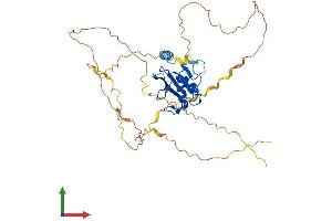 AlphaFold protein structure predicition of Mouse Recombinant Sh2d2a Protein, UniprotID Q9QXK9