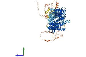 AlphaFold protein structure predicition of Human Recombinant ADCY1 Protein, UniprotID Q08828
