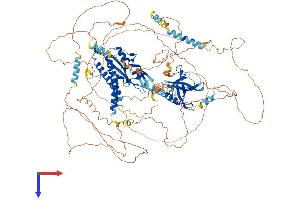 AlphaFold protein structure predicition of Human Recombinant ANLN Protein, UniprotID Q9NQW6