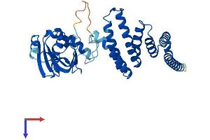 AlphaFold protein structure predicition of Human Recombinant AIP Protein, UniprotID O00170
