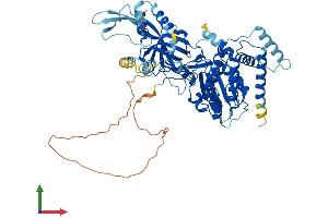 AlphaFold protein structure predicition of Mouse Recombinant Mcmbp Protein, UniprotID Q8R3C0