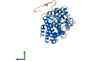 AlphaFold protein structure predicition of Human Recombinant IRAK4 Protein, UniprotID Q9NWZ3