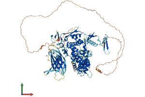 AlphaFold protein structure predicition of Human Recombinant WWP2 Protein, UniprotID O00308