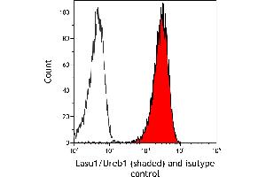Flow Cytometry (FACS) image for anti-HECT, UBA and WWE Domain Containing 1, E3 Ubiquitin Protein Ligase (HUWE1) (AA 2250-2300) antibody (ABIN7453974)