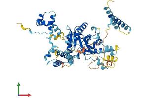 AlphaFold protein structure predicition of Mouse Recombinant Jrkl Protein, UniprotID B2RRL2