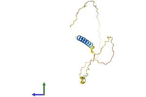 AlphaFold protein structure predicition of Human Recombinant CEND1 Protein, UniprotID Q8N111