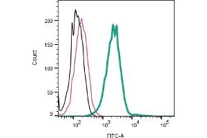 anti-Cholinergic Receptor, Nicotinic, alpha 7 (Neuronal) (CHRNA7) (AA 31-42), (Extracellular) antibody (FITC)