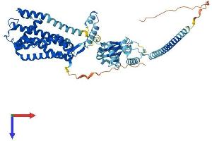 AlphaFold protein structure predicition of Mouse Recombinant Cnga4 Protein, UniprotID Q3UW12