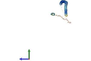 AlphaFold protein structure predicition of Human Recombinant FAM9C Protein, UniprotID Q8IZT9