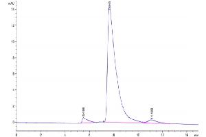 The purity of Canine TAG-72 is greater than 95 % as determined by SEC-HPLC.