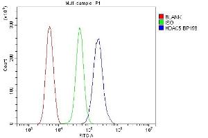 Flow Cytometry analysis of THP-1 cells using anti-HDAC5 antibody (ABIN7599922). (HDAC5 anticorps  (AA 13-1107))