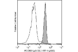 Flow Cytometry (FACS) image for anti-cAMP Responsive Element Binding Protein 1 (CREB1) (pSer133) antibody (PE) (ABIN1177047)