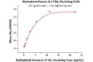 Immobilized Human IL-17A, Tag Free (ABIN2870824,ABIN2870825,ABIN6810014) at 2 μg/mL (100 μL/well) can bind Biotinylated Human IL-17 RA, His,Avitag (ABIN5674597,ABIN6253682) with a linear range of 0. (IL17RA Protein (AA 33-320) (His tag,AVI tag,Biotin))