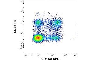 Flow cytometry multicolor surface staining pattern of human lymphocytes using anti-human CD160 (BY55) APC antibody (10 μL reagent / 100 μL of peripheral whole blood) and anti-human CD56 (LT56) PE antibody (10 μL reagent / 100 μL of peripheral whole blood). (CD160 anticorps  (APC))