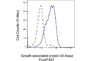 Validation of Growth associated protein 43 knockdown using flow cytometry. (Recombinant GAP43 anticorps)