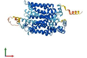 AlphaFold protein structure predicition of Mouse Recombinant Slc2a2 Protein, UniprotID P14246