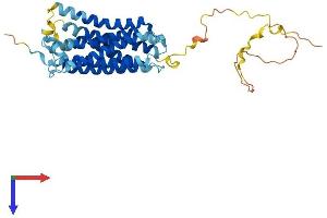 AlphaFold protein structure predicition of Mouse Recombinant Gprc5a Protein, UniprotID Q8BHL4