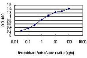Detection limit for recombinant GST tagged TTN is approximately 0. (Titin anticorps  (AA 1-110))