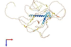 AlphaFold protein structure predicition of Human Recombinant FAM149B1 Protein, UniprotID Q96BN6