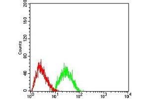 Flow cytometric analysis of HL-60 cells using CD369 mouse mAb (green) and negative control (red).