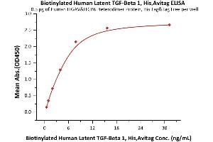 Immobilized Human ITGAV&ITGB6 Heterodimer Protein, His Tag&Tag Free (ABIN2870664,ABIN2870665) at 5 μg/mL (100 μL/well) can bind Biotinylated Human Latent  1, His,Avitag (ABIN6386432,ABIN6388257) with a linear range of 0. (TGFB1 Protein (AA 30-390) (His tag,AVI tag,Biotin))