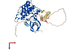 AlphaFold protein structure predicition of Mouse Recombinant Csnk1e Protein, UniprotID Q9JMK2