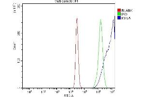 Flow Cytometry analysis of K562 cells using anti-KIF5A antibody (ABIN7601527). (KIF5A anticorps  (AA 374-1032))