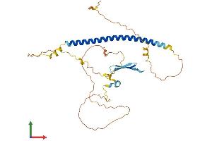 AlphaFold protein structure predicition of Human Recombinant GMNC Protein, UniprotID A6NCL1