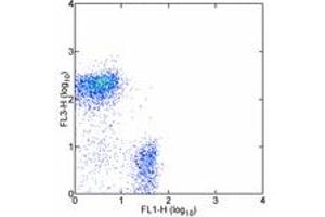 Image no. 1 for anti-Protein tyrosine Phosphatase, Receptor Type, C (PTPRC) antibody (Cy7,PE) (ABIN477099)