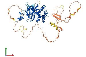 AlphaFold protein structure predicition of Human Recombinant KMT5C Protein, UniprotID Q86Y97