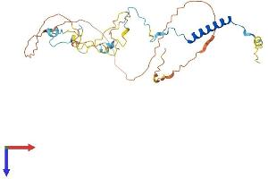 AlphaFold protein structure predicition of Human Recombinant SPATS1 Protein, UniprotID Q496A3