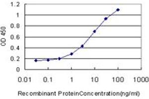 Detection limit for recombinant GST tagged HMGB1 is approximately 0. (HMGB1 anticorps  (AA 1-90))