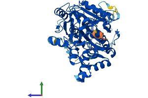 AlphaFold protein structure predicition of Mouse Recombinant Nsun6 Protein, UniprotID Q7TS68