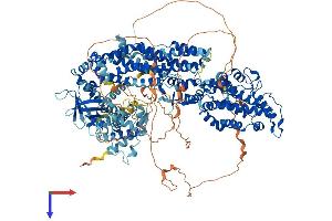 AlphaFold protein structure predicition of Mouse Recombinant Sos1 Protein, UniprotID Q62245