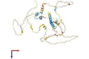 AlphaFold protein structure predicition of Mouse Recombinant Mamstr Protein, UniprotID Q0ZCJ7