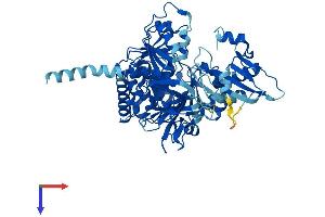AlphaFold protein structure predicition of Human Recombinant SLC27A2 Protein, UniprotID O14975